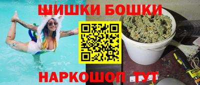 амф Камышлов