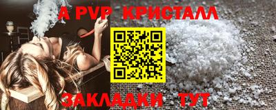 амф Камышлов