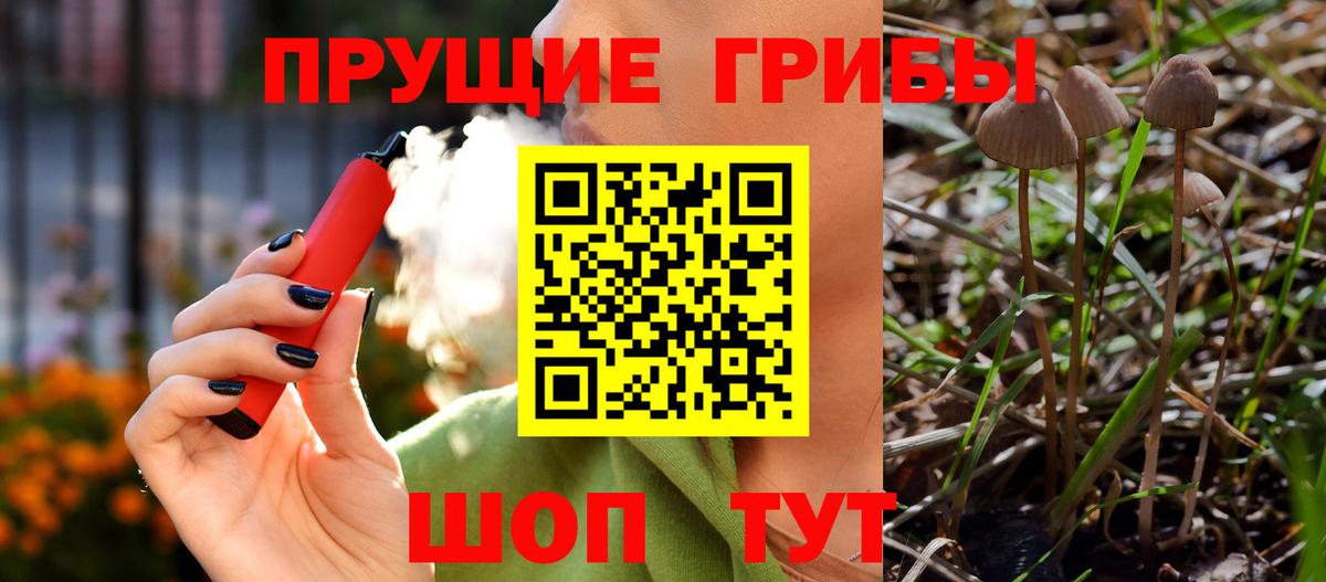 Галлюциногенные грибы прущие грибы  Вход с VPN  Кудрово 